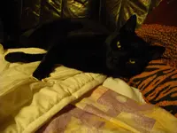 IMGP3624.webp