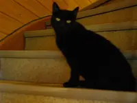 IMGP3618.webp