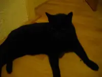 IMGP3621.webp