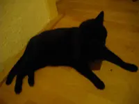 IMGP3623.webp