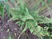 PHOTO_20160630_203431.webp