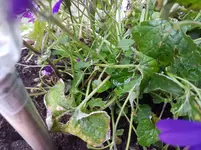 PHOTO_20160630_204148.webp