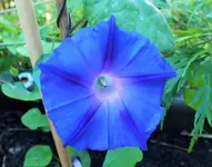 DSCF6479 (3).webp