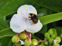 DSCF6595 (3).webp