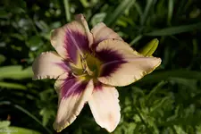 IMG_2205.webp