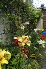 _DSC0658.webp