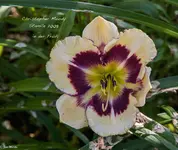 IMG_2191-2.webp