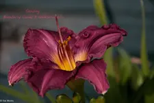 IMG_2219-2.webp