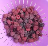 P1110831.webp