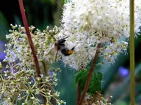 DSCN6544.webp