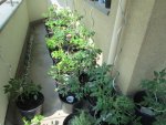 IMG_0167.jpg