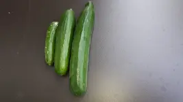 20160701_163606.jpg