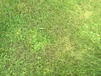 2016-06-29_16-27-34_IMG_3543.webp 2016-06-29_16-27-34_IMG_3543.webp