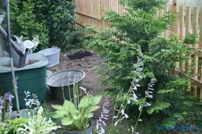 comp_DSC05312.webp