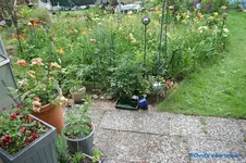comp_DSC05307.webp