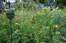 comp_DSC05310.webp