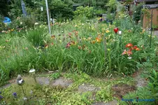 comp_DSC05311.webp
