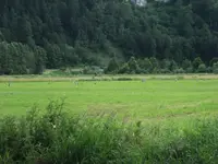 DSCF2594 (2).webp