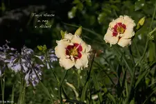 IMG_2282-2.webp