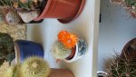 20160625_141214.jpg