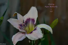 IMG_2246-3.webp
