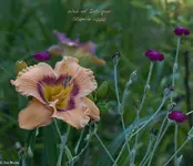 IMG_2312-2.webp