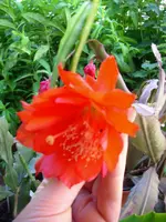 DSCI4149.webp