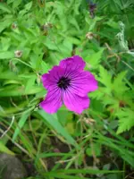 k-DSCI4133.webp