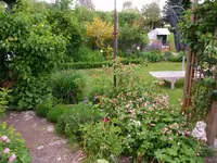 2016-05-31 Weg zum Pavillon.webp