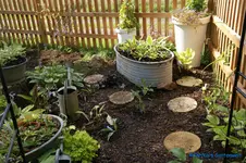 comp_DSC05322.webp