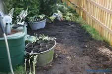 comp_DSC05323.webp