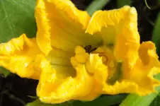 DSCF6624.webp