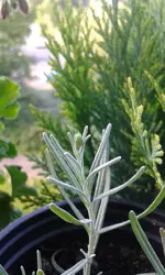 20160703_070343.webp