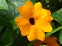 P1010021.webp