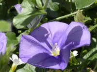 P1010027.webp