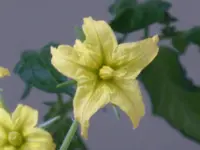 P1010029.webp