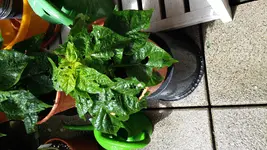 20160703_144459.jpg