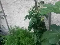 20160703_164202.jpg