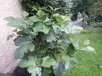 20160703_164132.webp