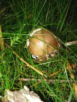 016_576x768.webp