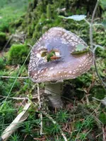 017_576x768.webp