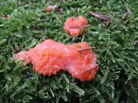 018_1024x768.webp