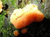 020_1024x768.webp