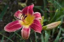 IMG_2364-2.webp