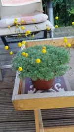 03.07.2016 399.jpg