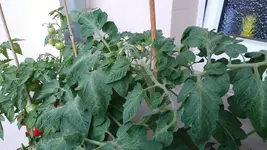 20160703_205649.jpg
