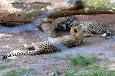 2016-07-03-9158 - Kopie.webp