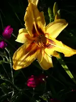 DSCI4154.webp