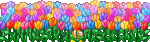 Blumenfeld.gif