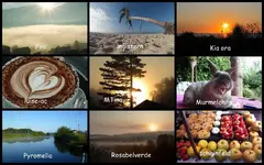 _Juni 2016 Am Morgen.webp